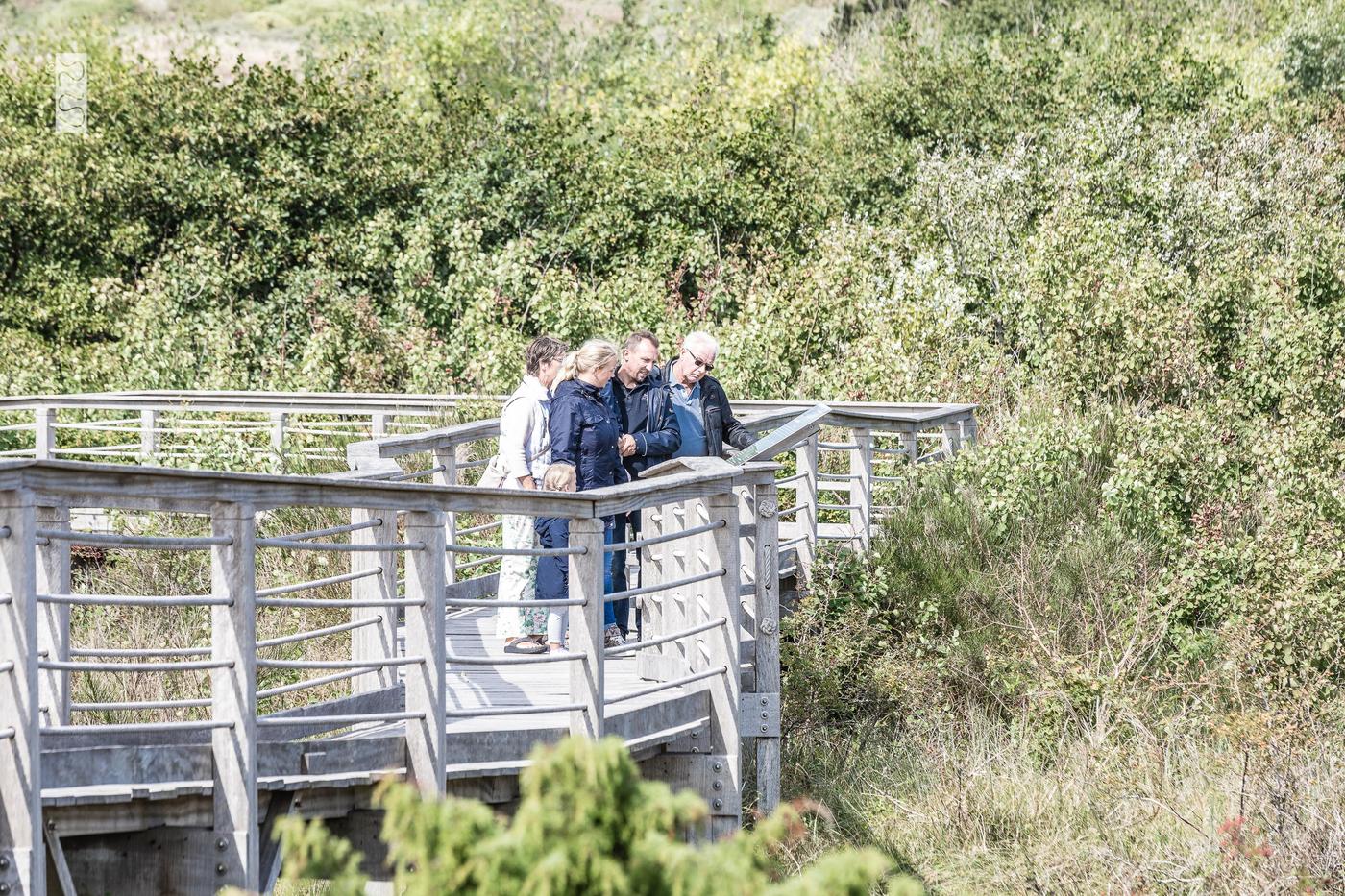 Ein Spaziergang durch Natur und Kunst