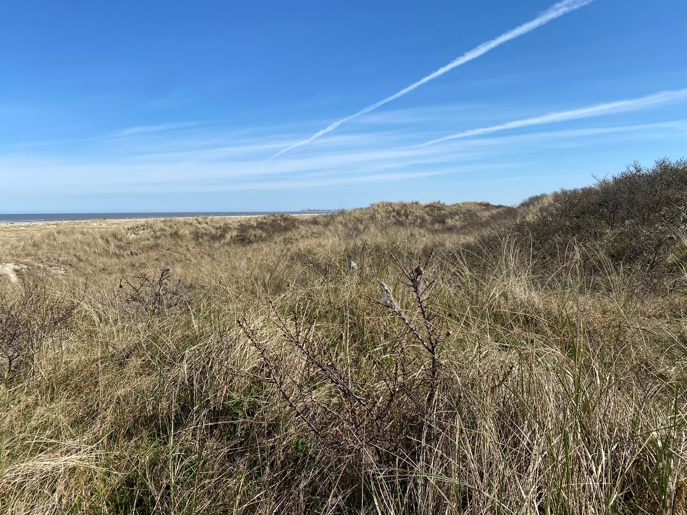 Stille, die du hören kannst