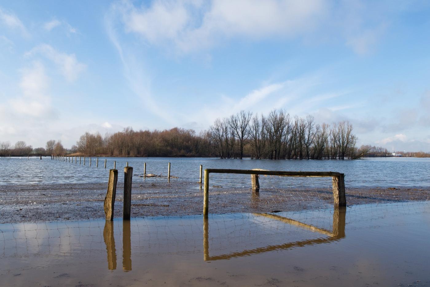 Seltene Tiere, alte Gemäuer und eine Fahrt mit der Rheinfähre