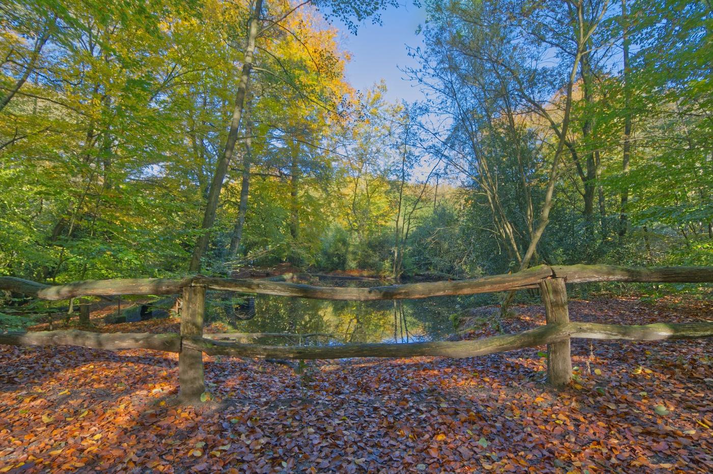 Highlight-Runde durch den Duisburger Stadtwald