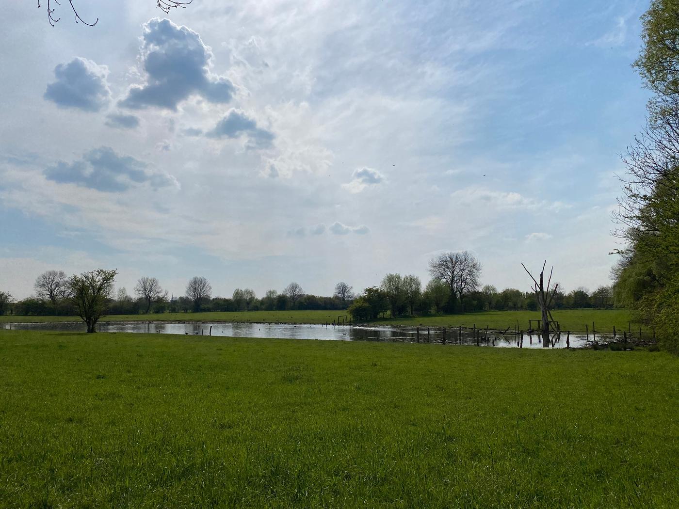 Seltene Tiere, alte Gemäuer und eine Fahrt mit der Rheinfähre