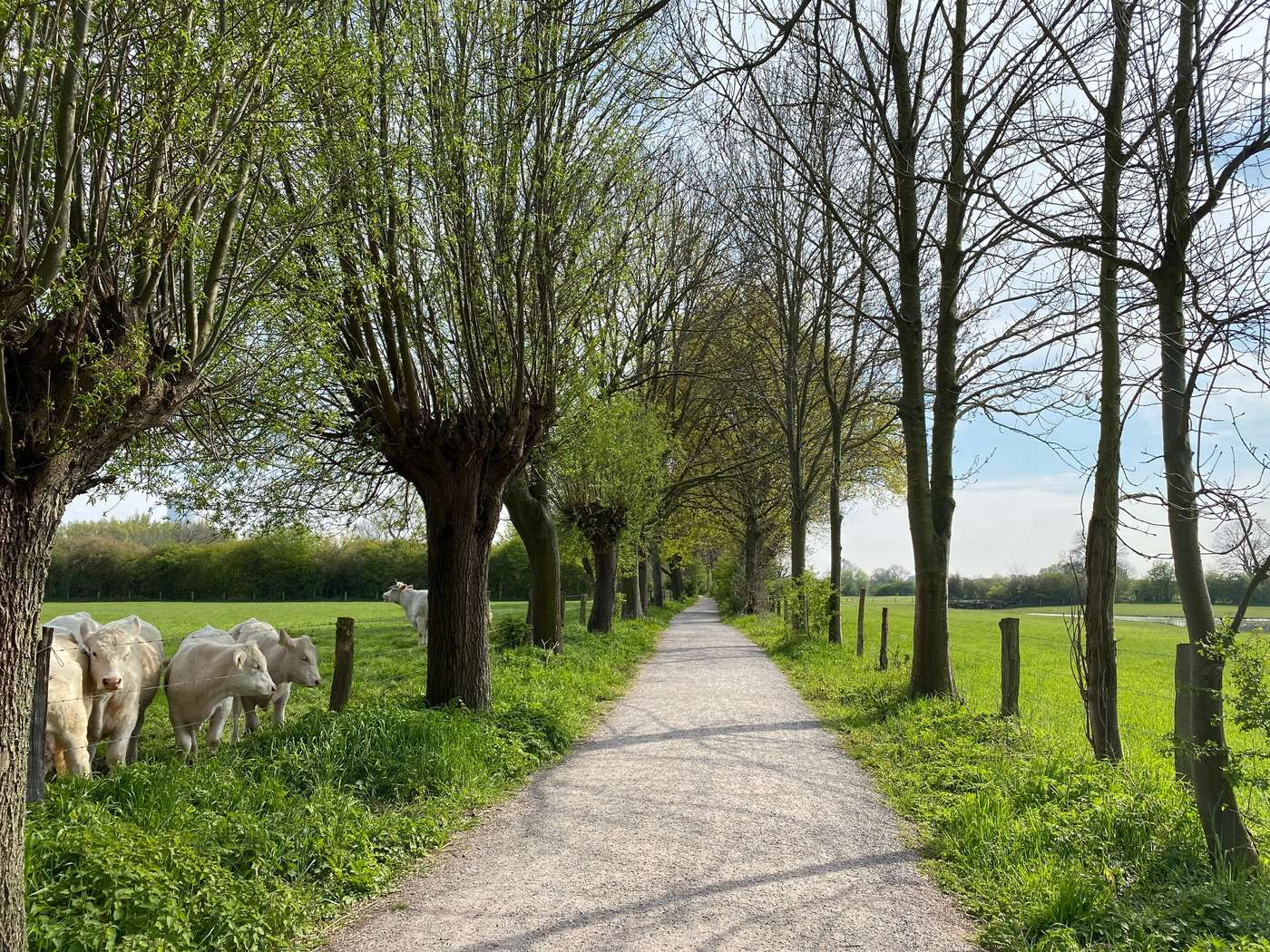 Seltene Tiere, alte Gemäuer und eine Fahrt mit der Rheinfähre