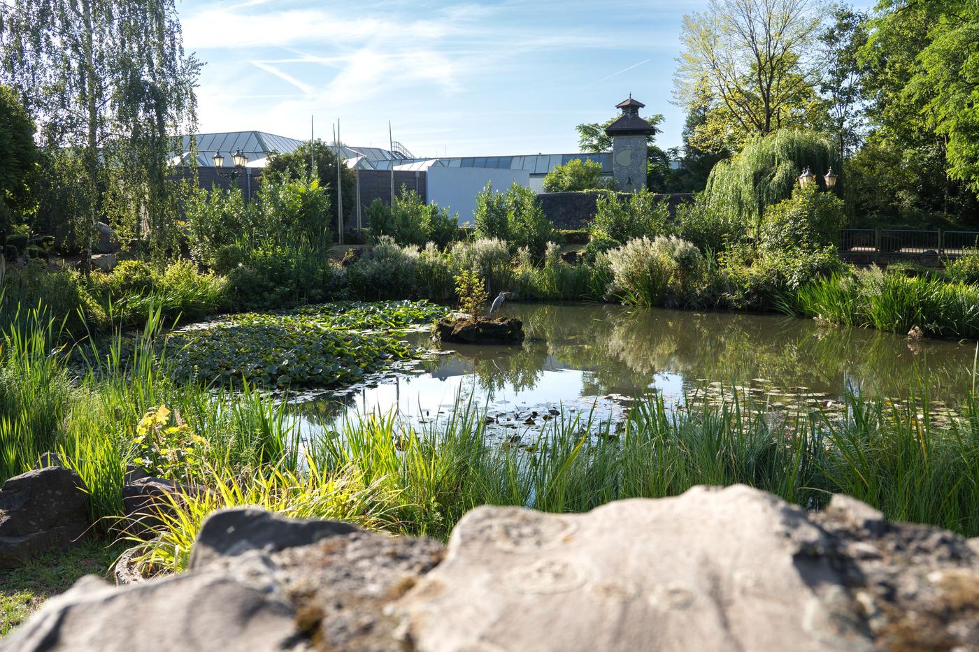 Eine Oase der Entspannung und Vitalität