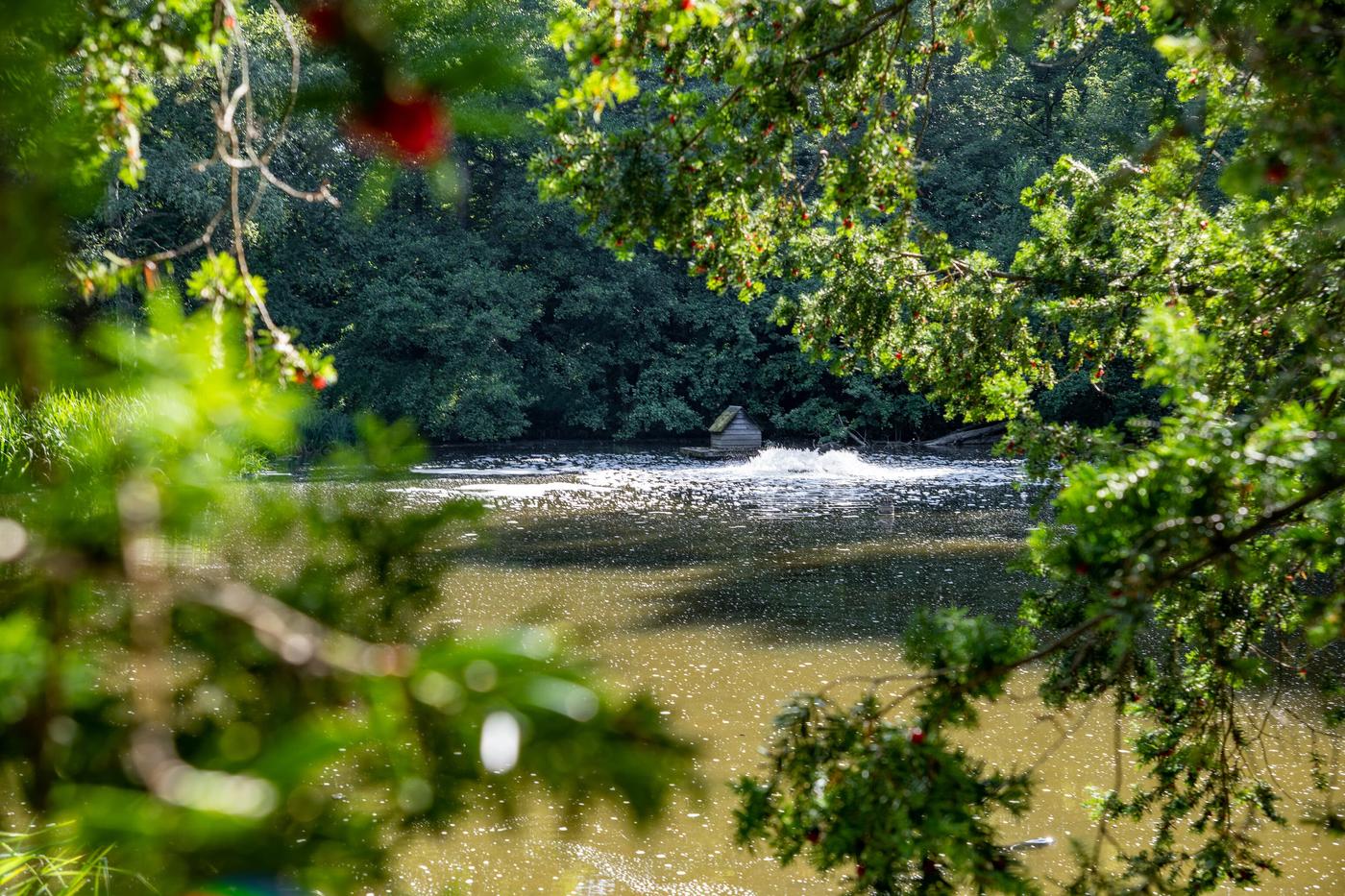 Ein perfekter Tag im Grünen