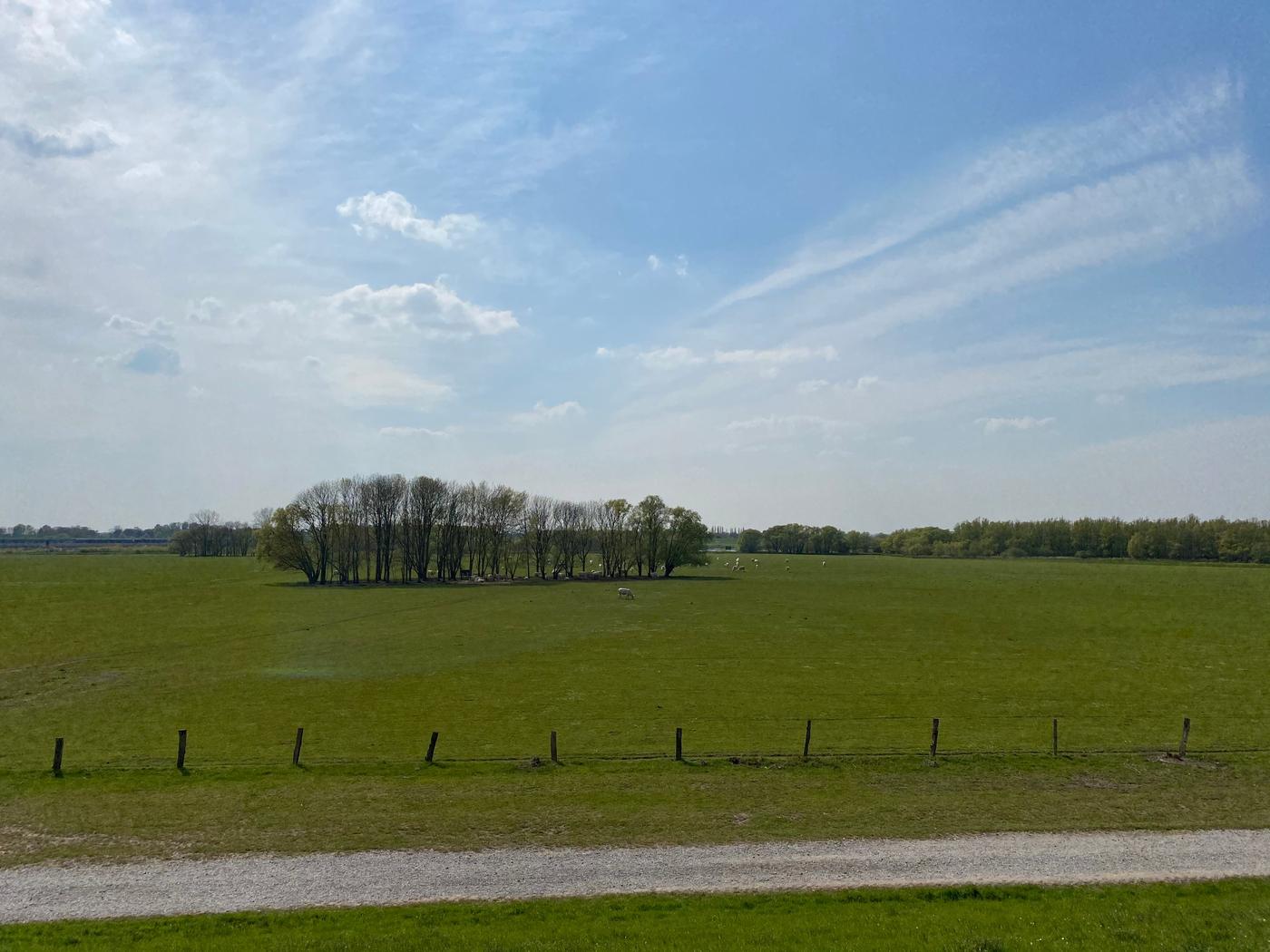 Seltene Tiere, alte Gemäuer und eine Fahrt mit der Rheinfähre