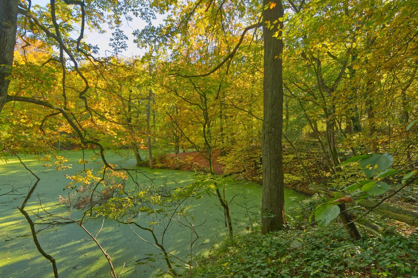 Highlight-Runde durch den Duisburger Stadtwald