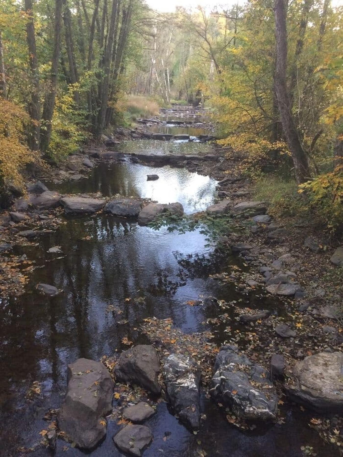 Still und klar: Ein Naturerlebnis an der Möhne
