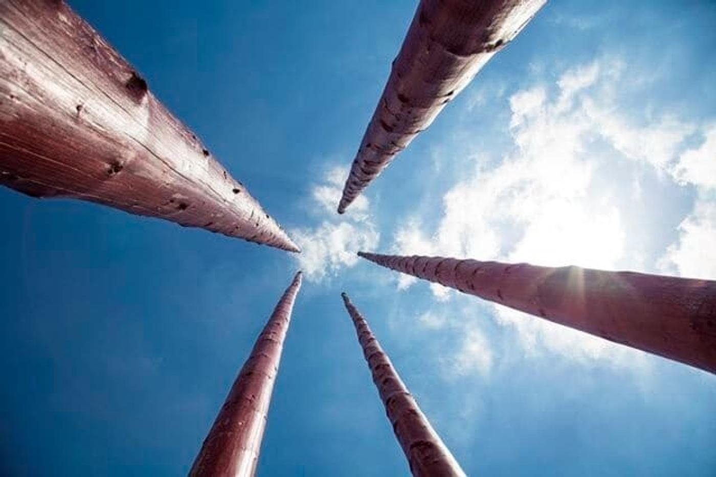 Sprung in die Erdgeschichte