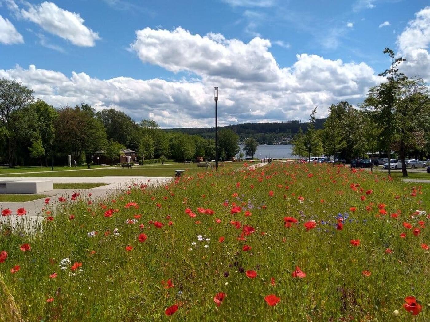 Naturpanorama in der Höhe