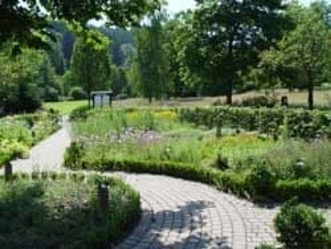 Naturoase zum Entspannen