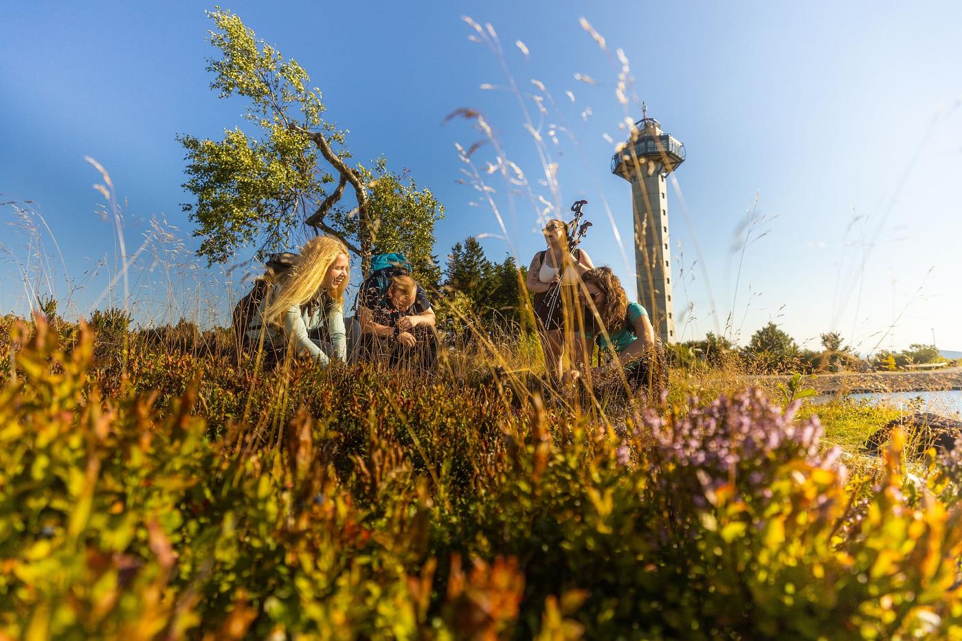 Panoramablick vom Gipfel im Upland