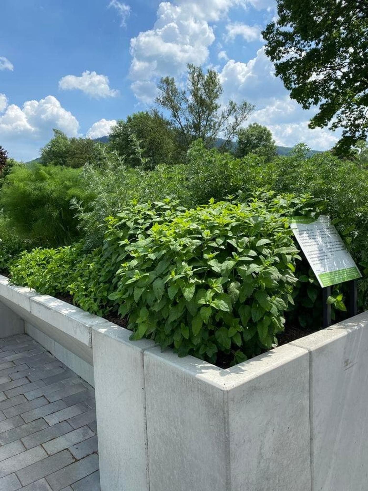 Kräuterduft und kulinarische Entdeckungen