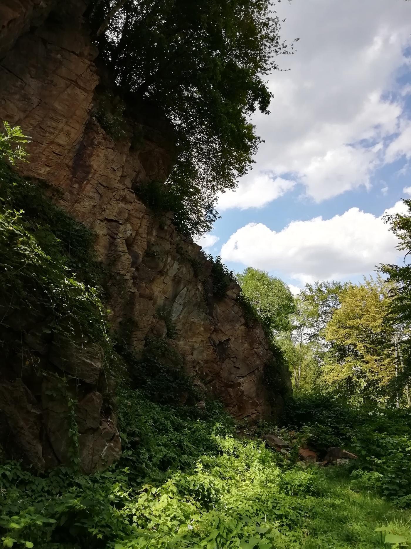 Erdgeschichte hautnah