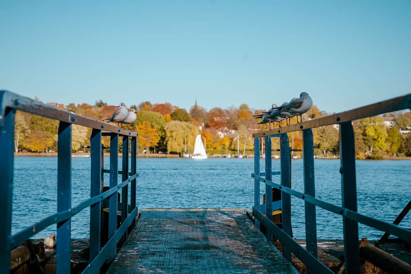 Wanderparadies am See