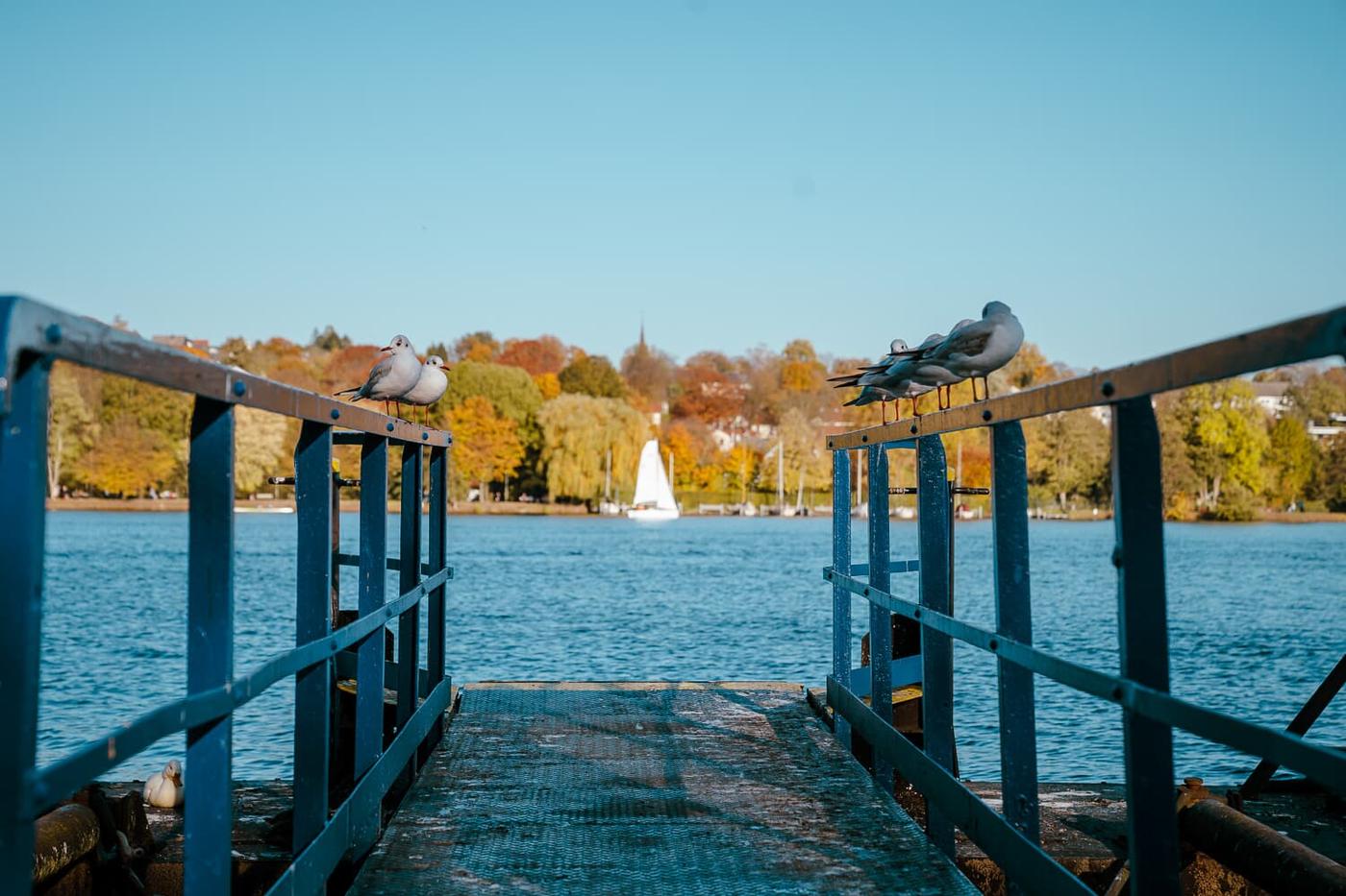 Wanderparadies am See