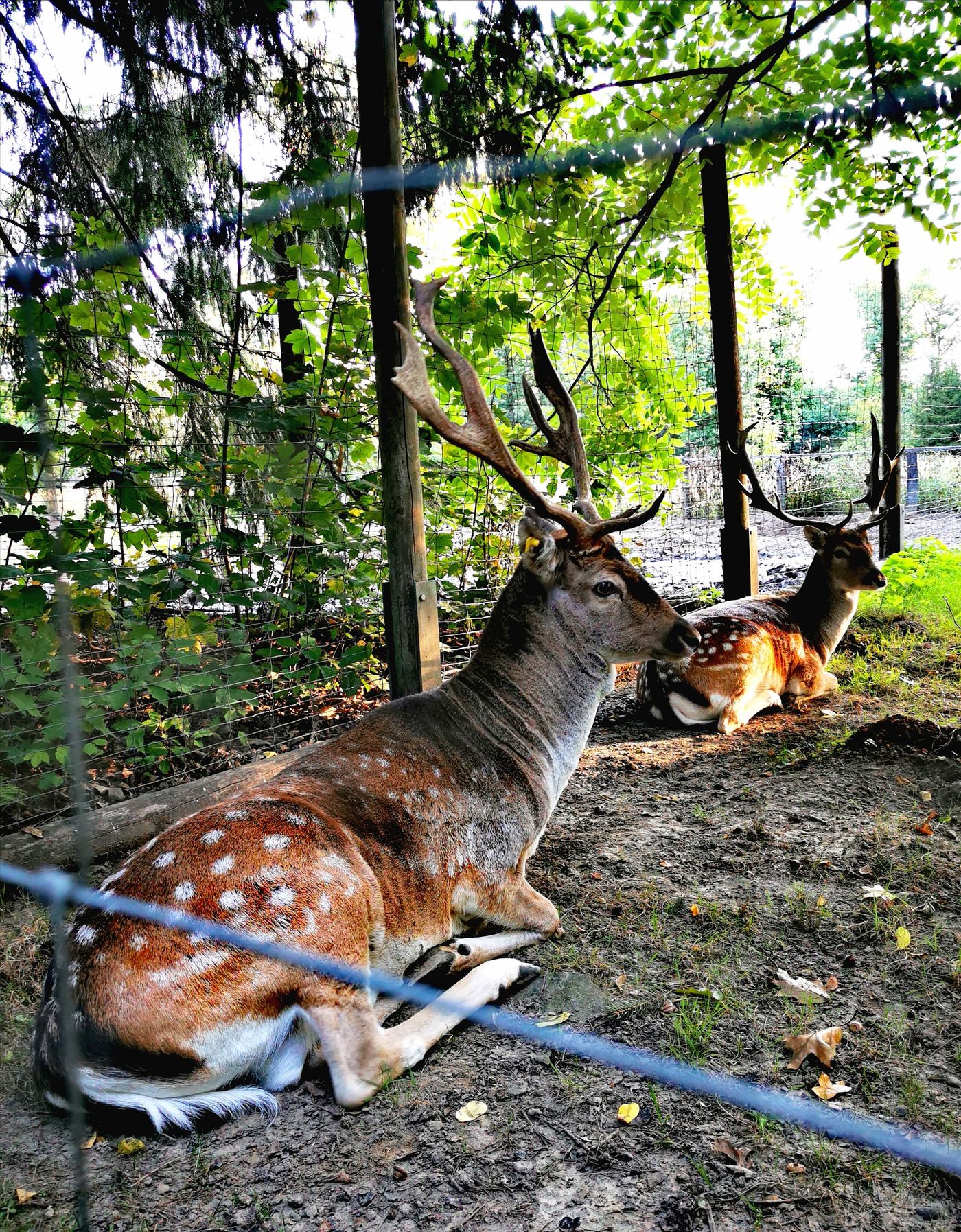 Naturnahe Abenteuer