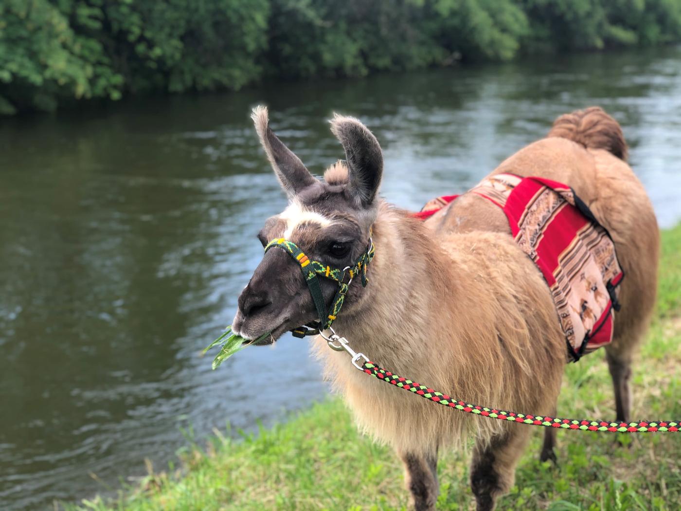 Einzigartige Begegnungen