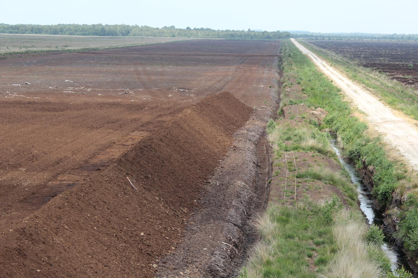 Rund um das große Moor
