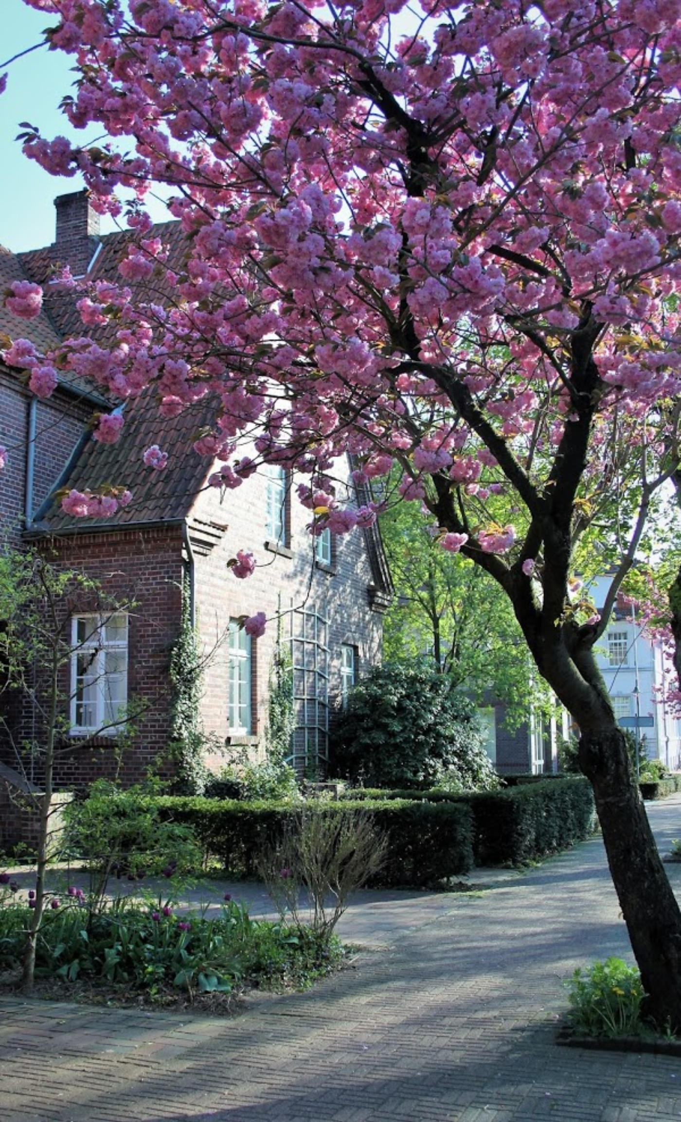 Komfort in zentraler Lage