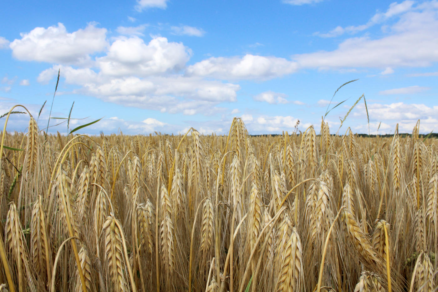Erholsame Radabenteuer