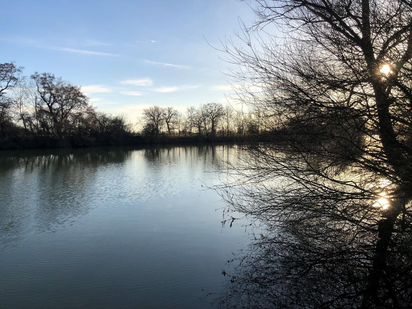 Naturidyll am Wasser