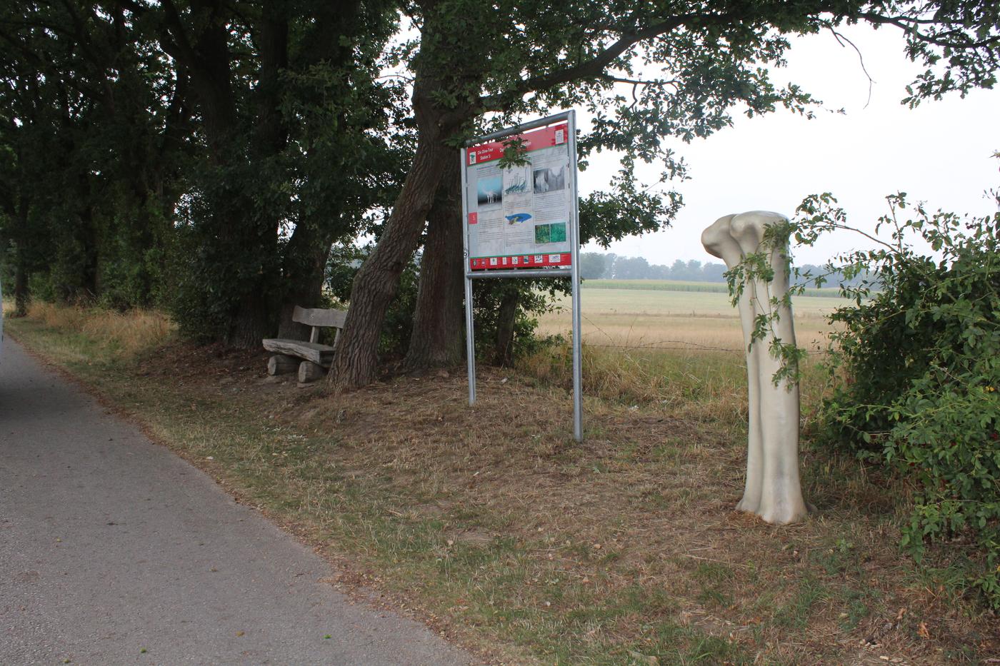 Durch spannende Epochen der Evolutionsgeschichte