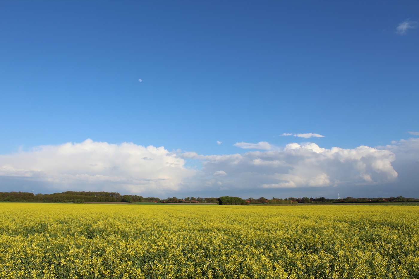 Geschichte und Natur erfahren