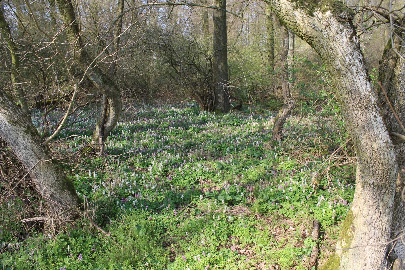 Vielfältige Radwege