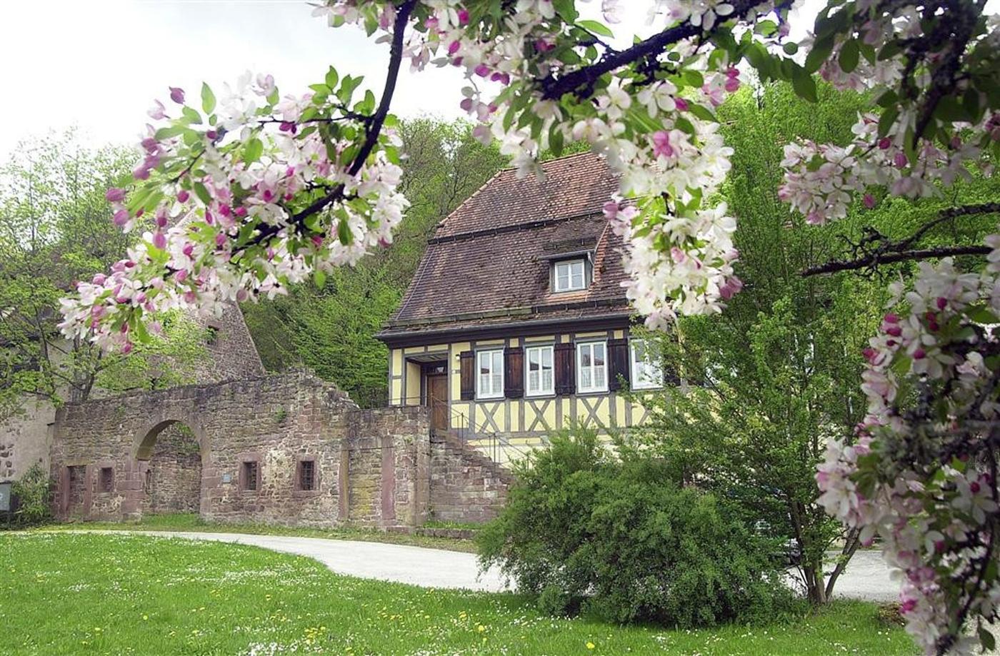 Mystische Ruinen und jahrhundertealte Geschichte