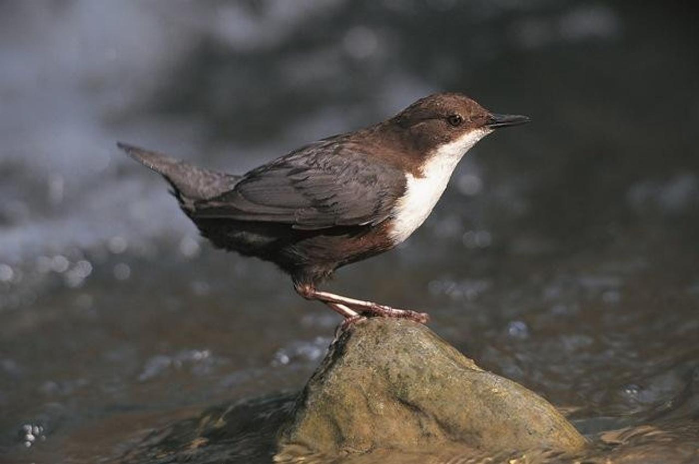 Natur, Geschichte und Flussidylle
