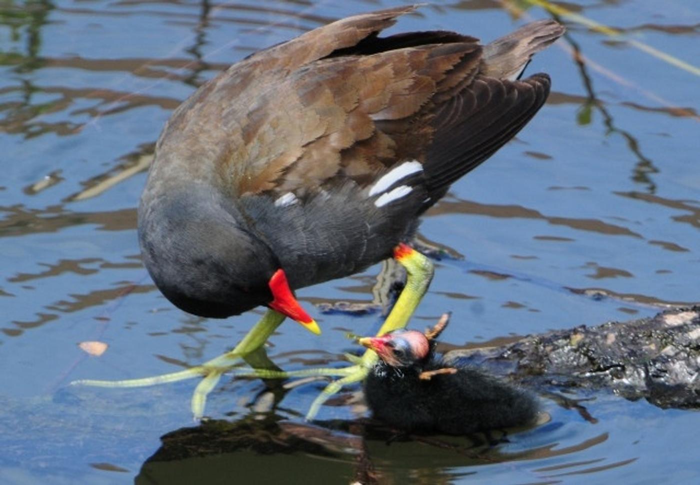 Natur, Geschichte und Flussidylle