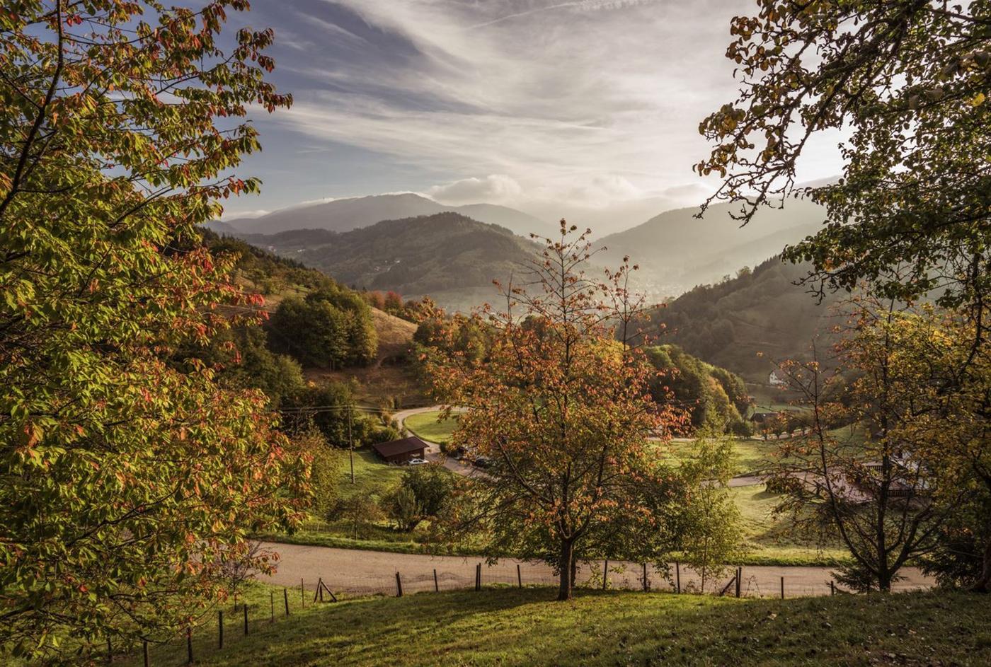 Geschichte und Natur im Einklang