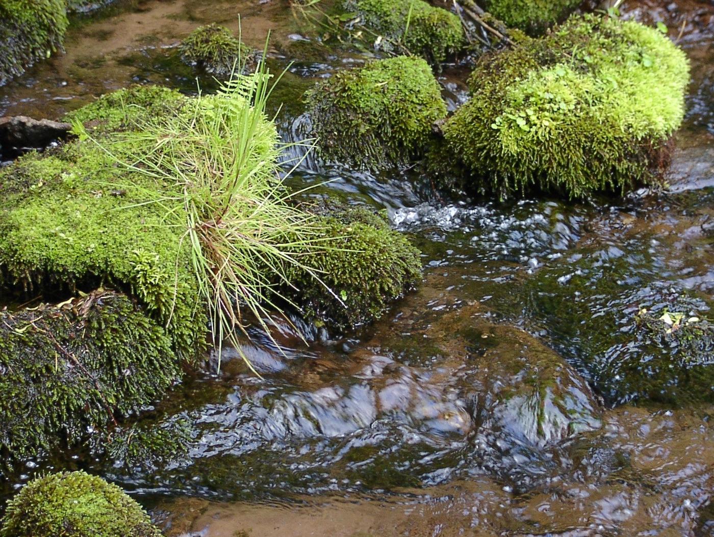 Natur, Geschichte und Flussidylle