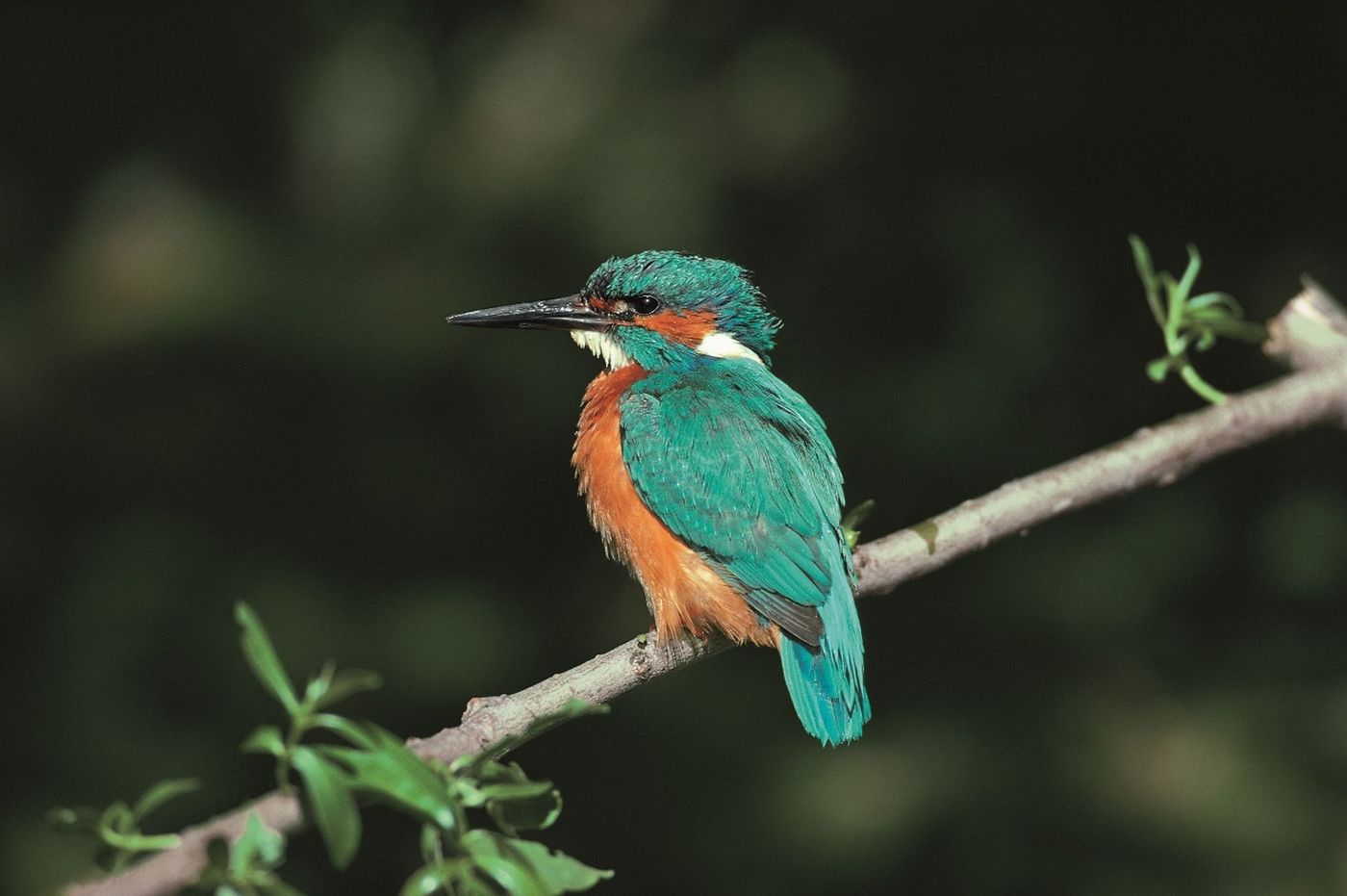 Natur, Geschichte und Flussidylle