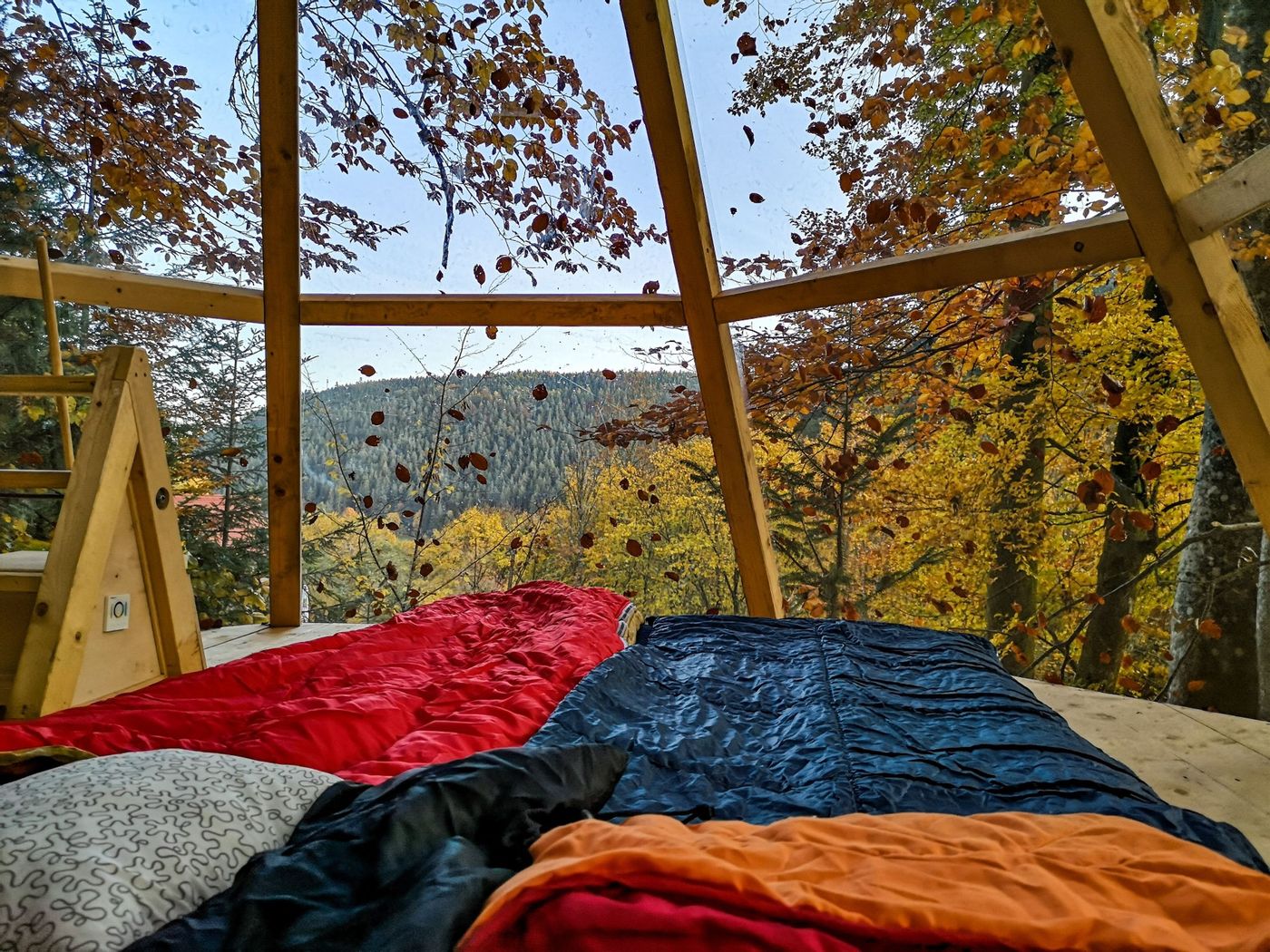 Nacht unter Sternen im durchsichtigen Baumhaus