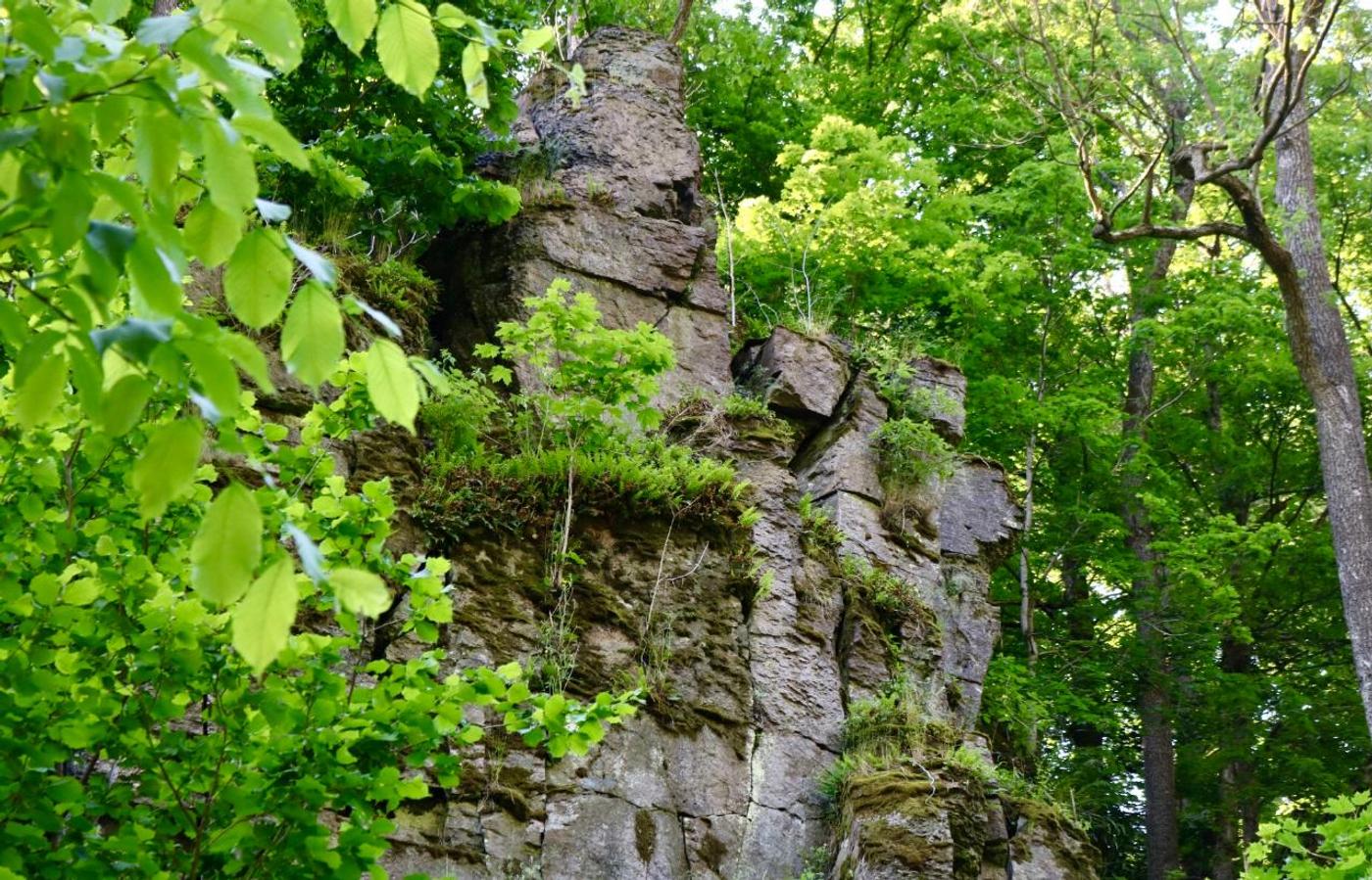Wildromantisches Abenteuer im Mühltal