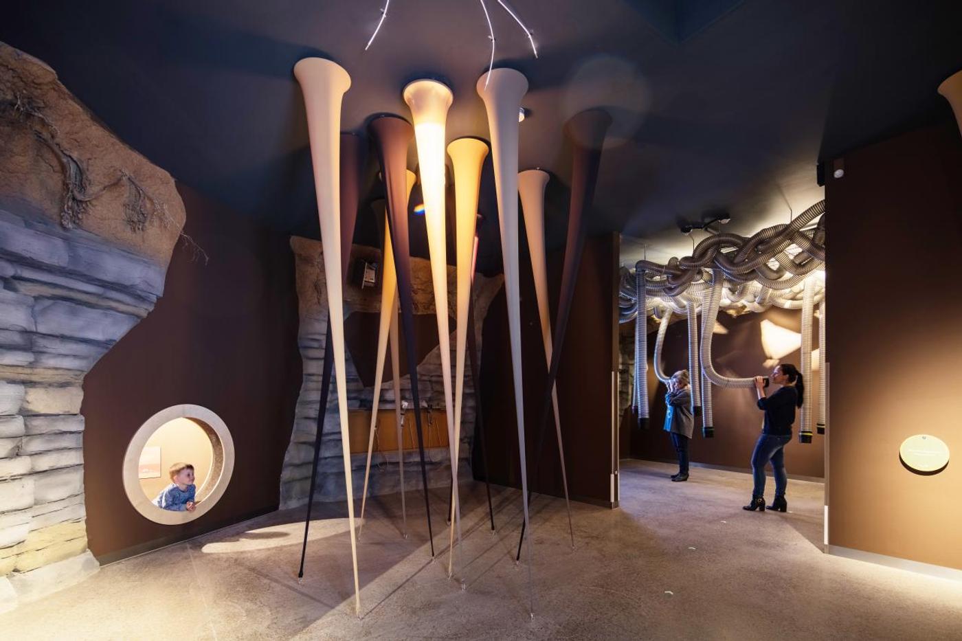 Urwaldabenteuer im Wissenswald