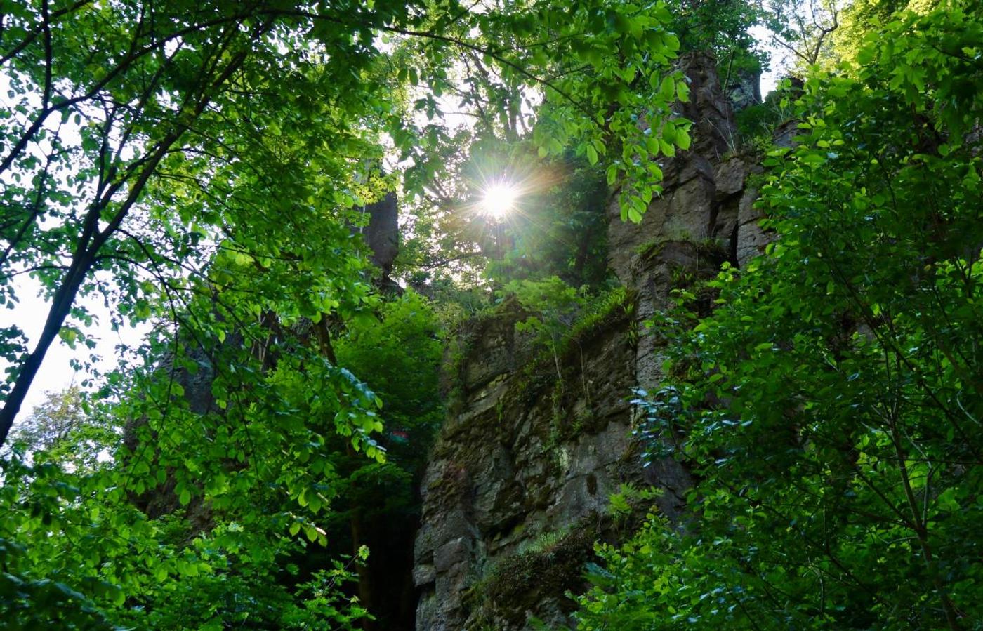 Wildromantisches Abenteuer im Mühltal