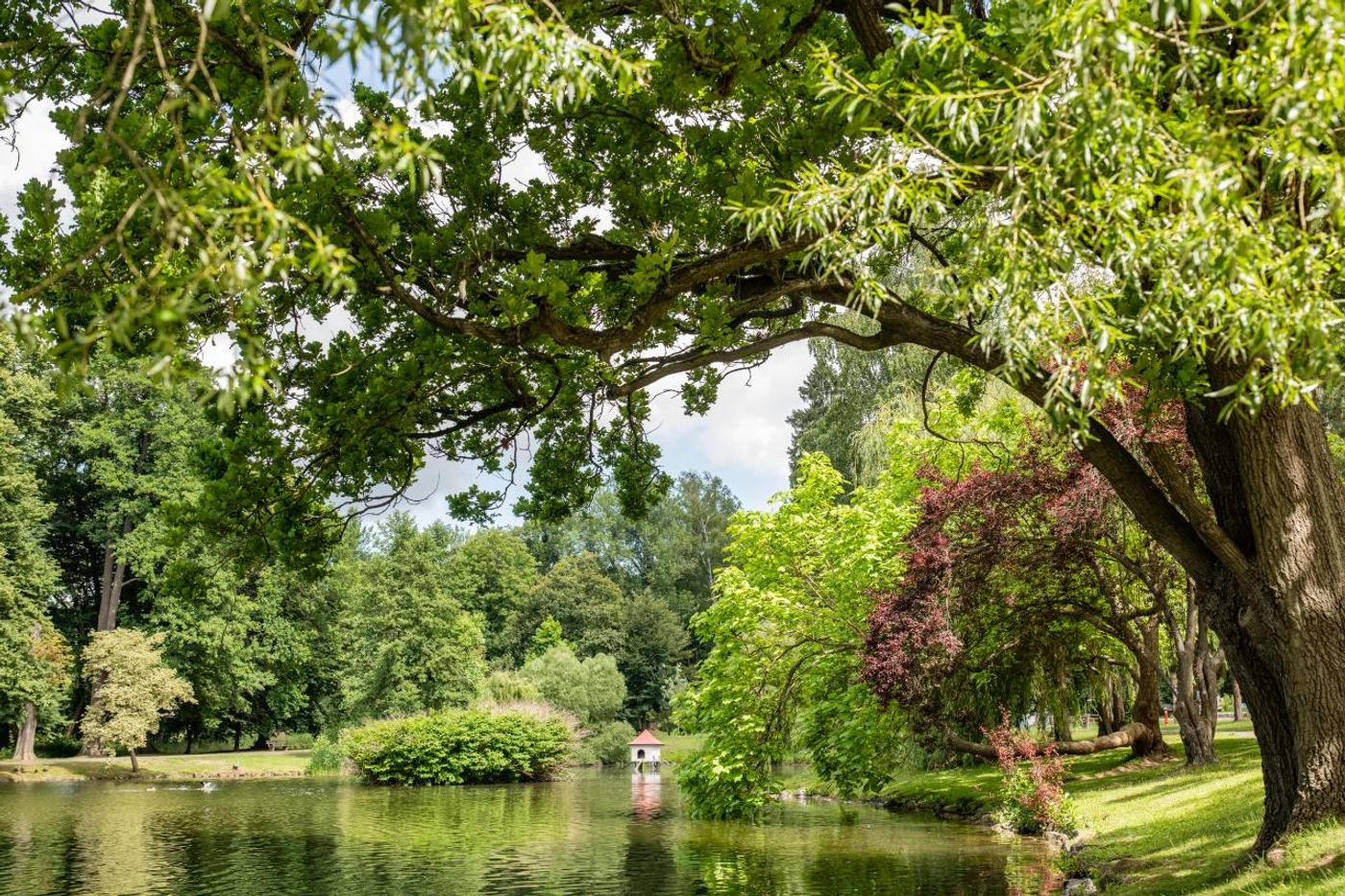 Entspannung in idyllischer Parkoase
