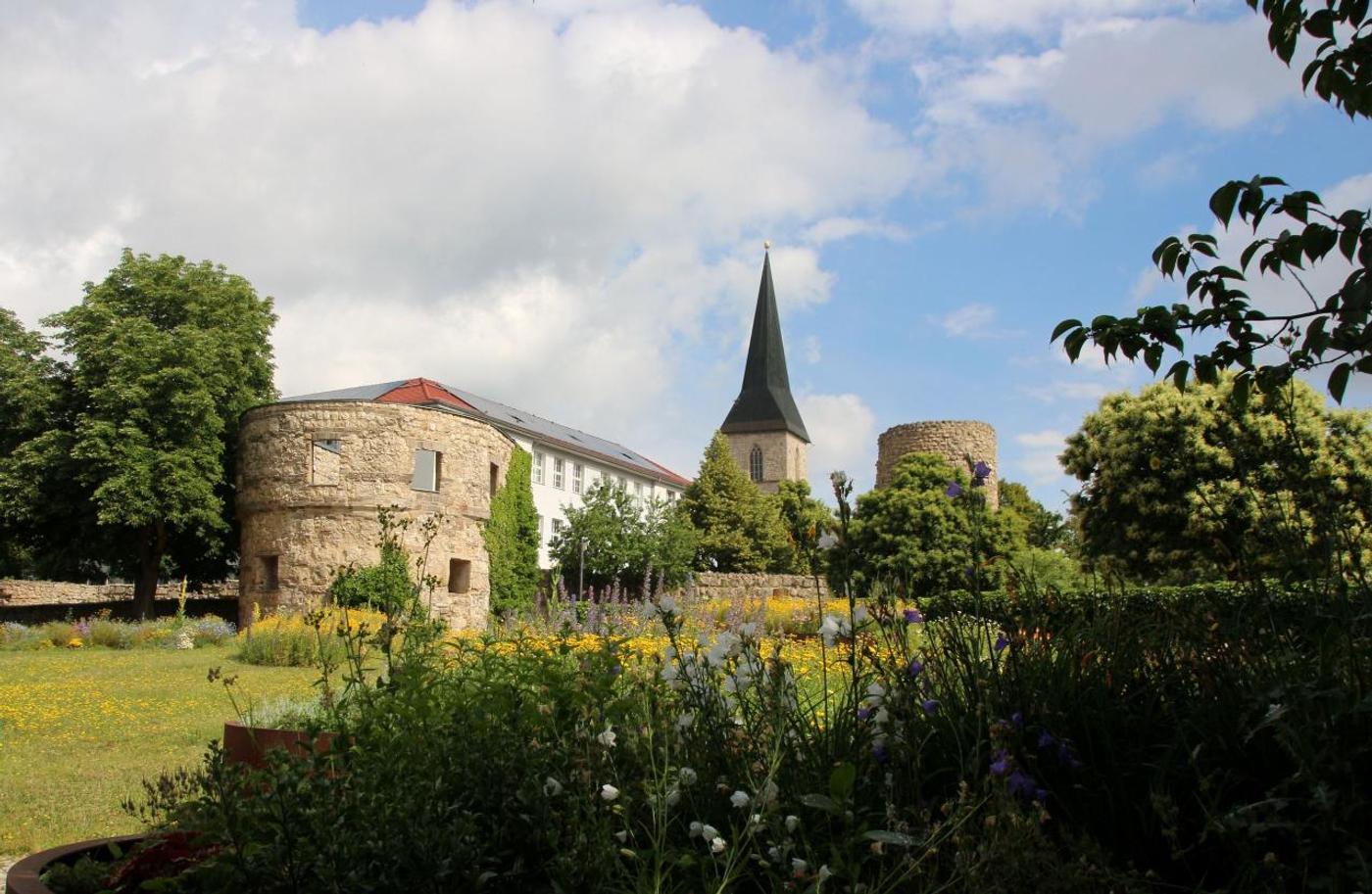 Entdecke Abenteuer und Entspannung im historischen Park