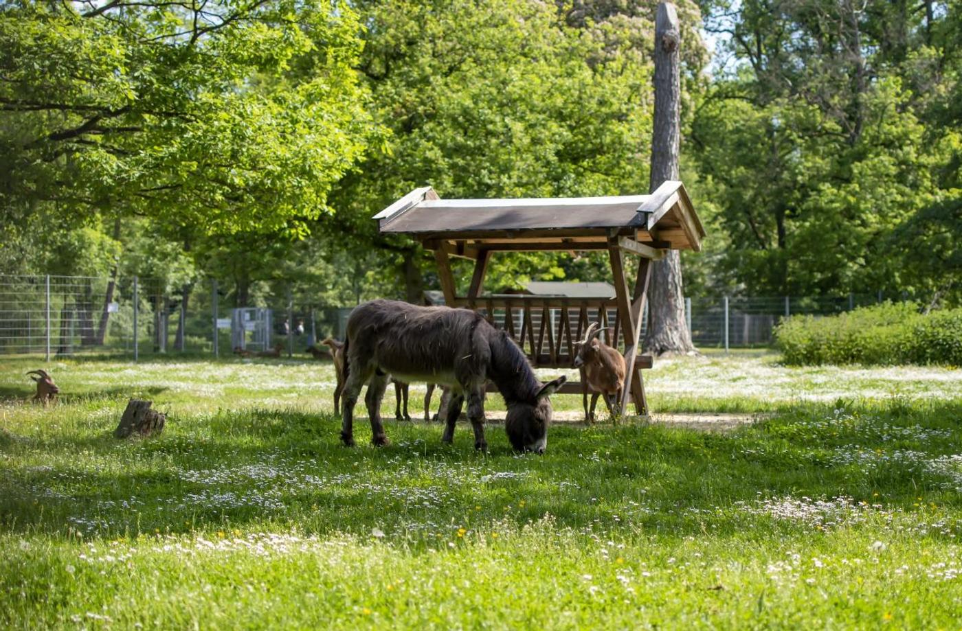 Oase der Ruhe und Schönheit