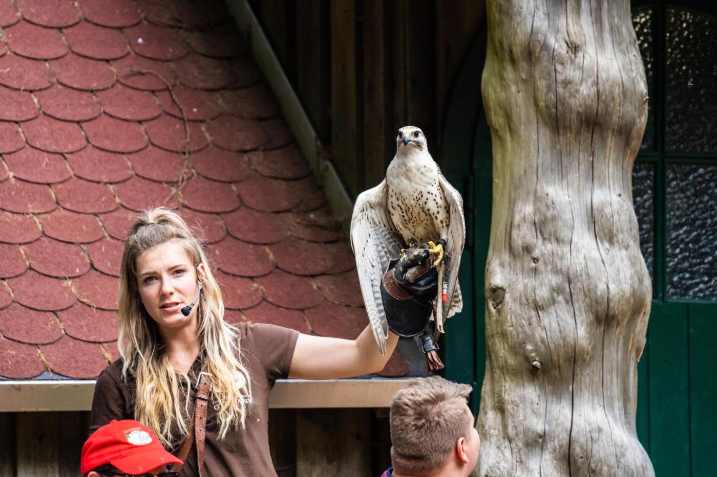 Familienabenteuer mit den Königen der Lüfte