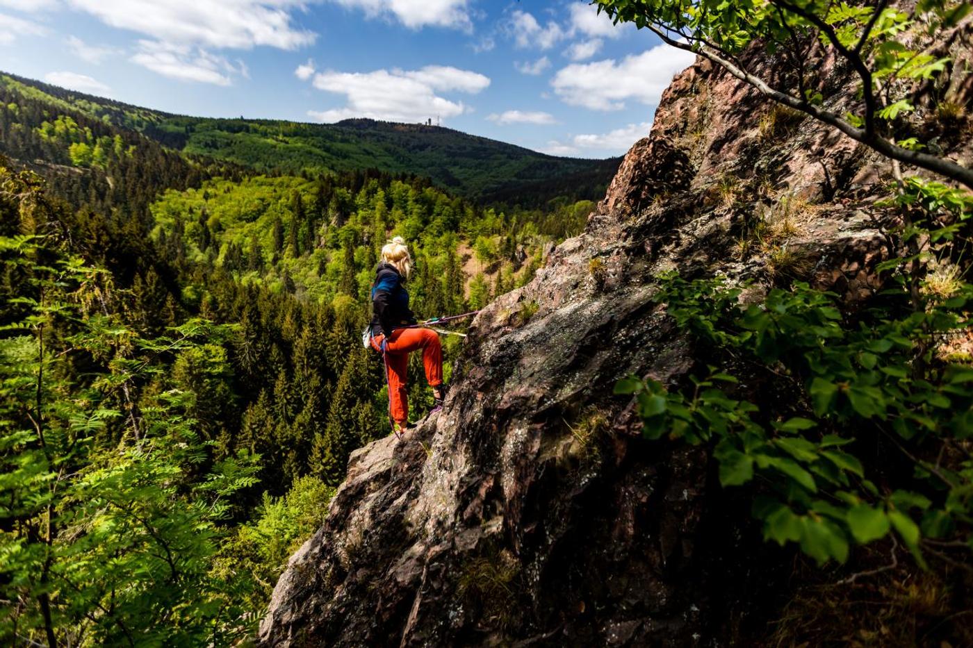 Abenteuer im Kletterwald