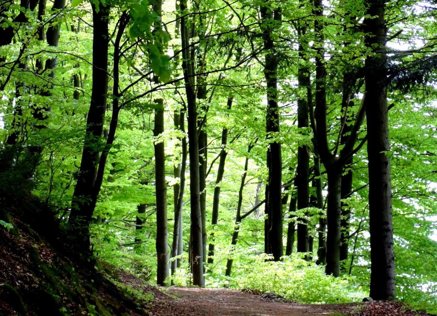 Erlebe die faszinierende Welt unter Tage