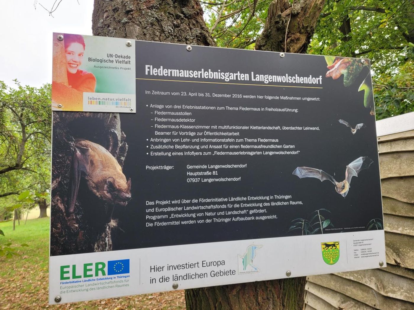 Fledermaus-Erlebnisgarten Langenwolschendorf