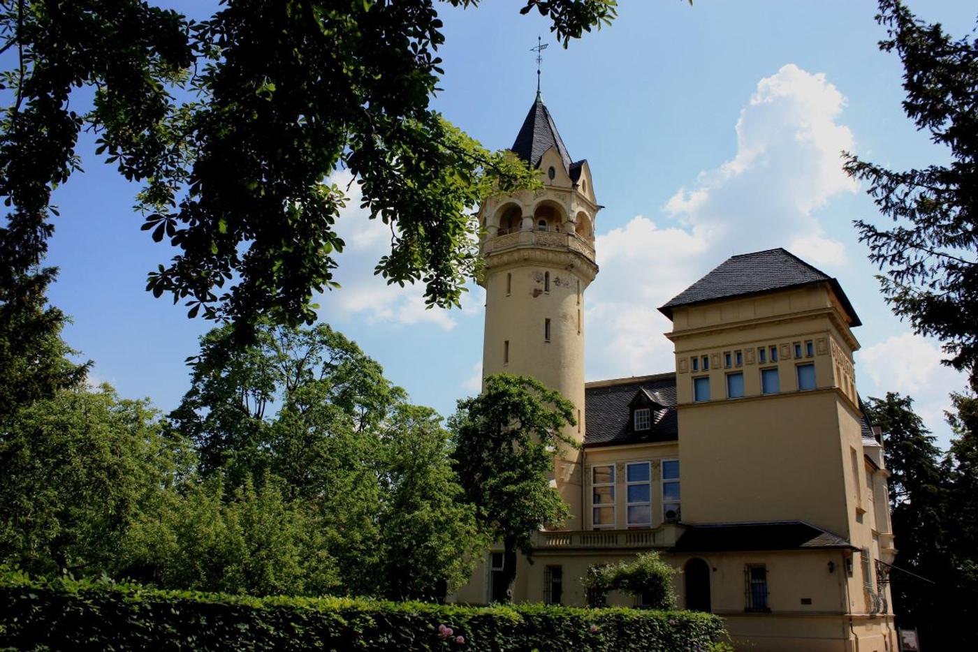 Einblicke in eine Welt der Kunstvielfalt