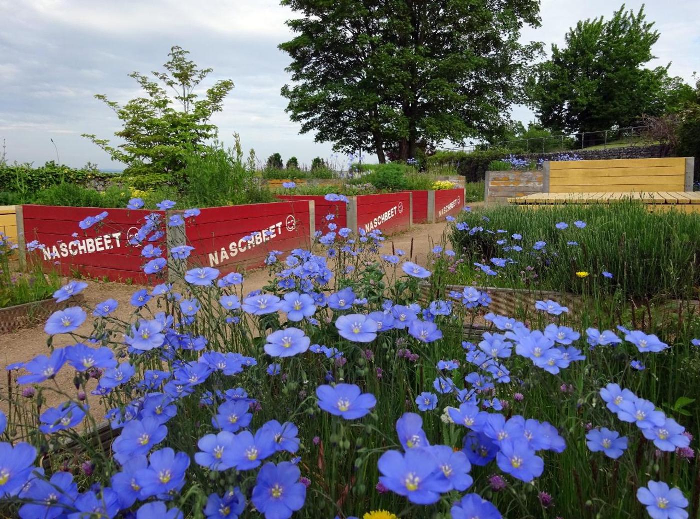 Entdecke Abenteuer und Entspannung im historischen Park