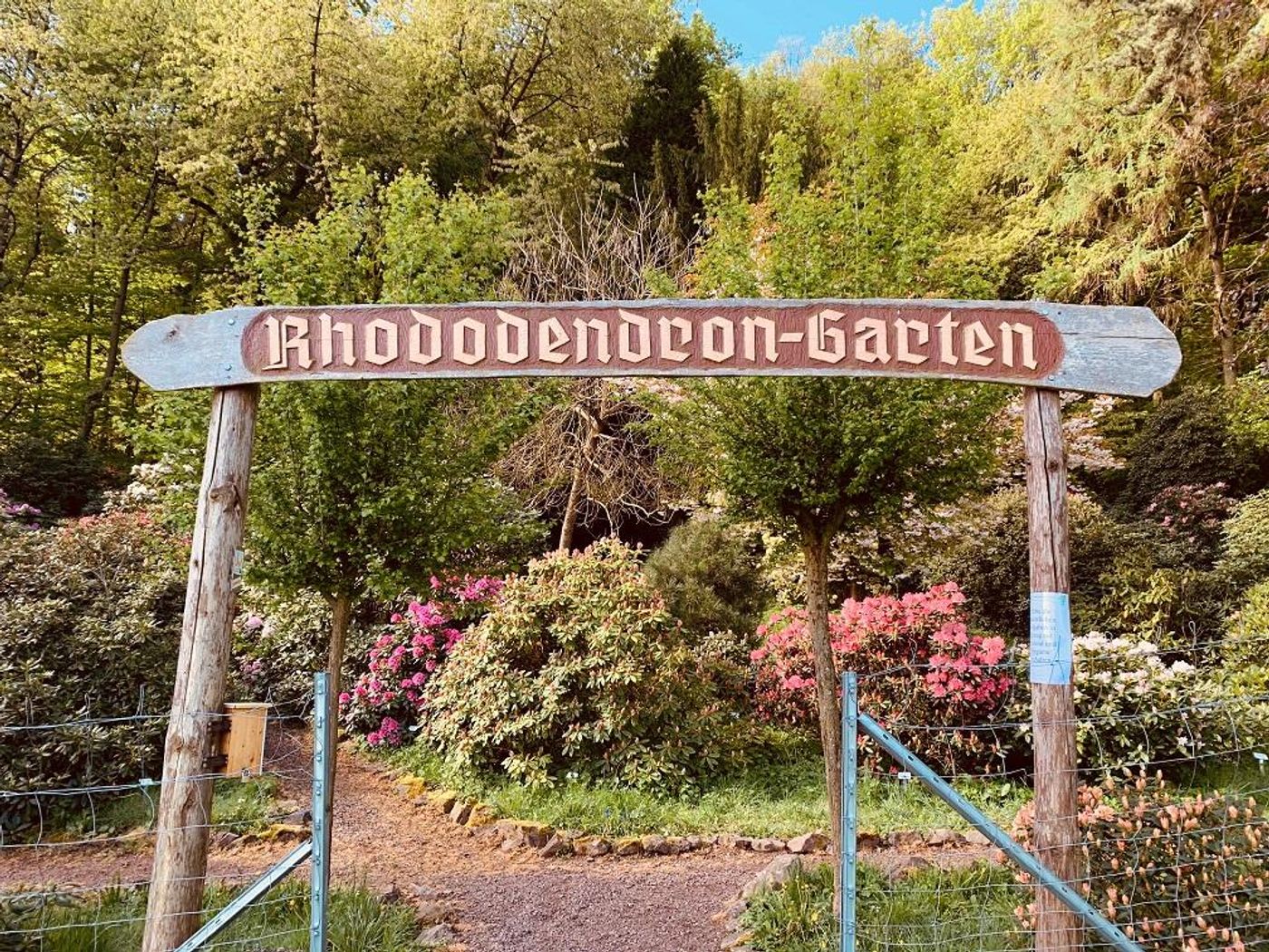 Rhododendron-Garten Bad Tabarz