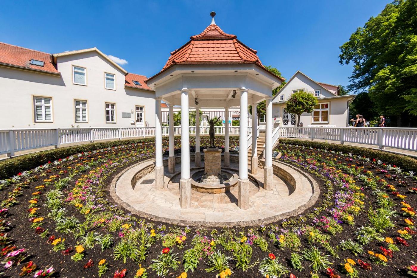 Vielfalt und Erholung in historischer Parklandschaft