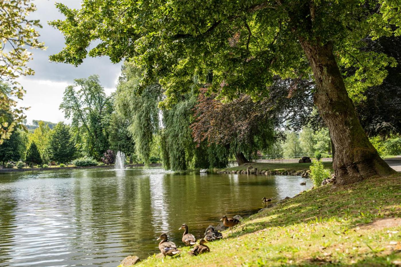 Entspannung in idyllischer Parkoase